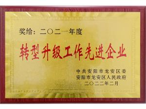 2021 轉(zhuǎn)型升級先進(jìn)企業(yè)