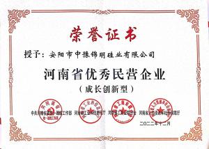 安陽市優(yōu)秀民營企業(yè)證書
