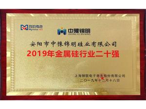 Top 20 in silicon metal industry in 2019